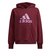 Adidas Girls Hoodie