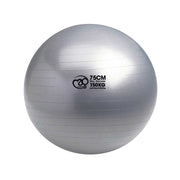 Fitness Mad Fitness Swiss Ball 75cm
