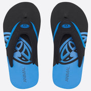 Animal Jekyl Slice Boys