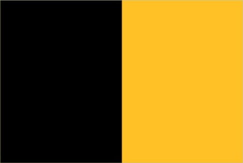 Team Car Flag 3X2 Flag