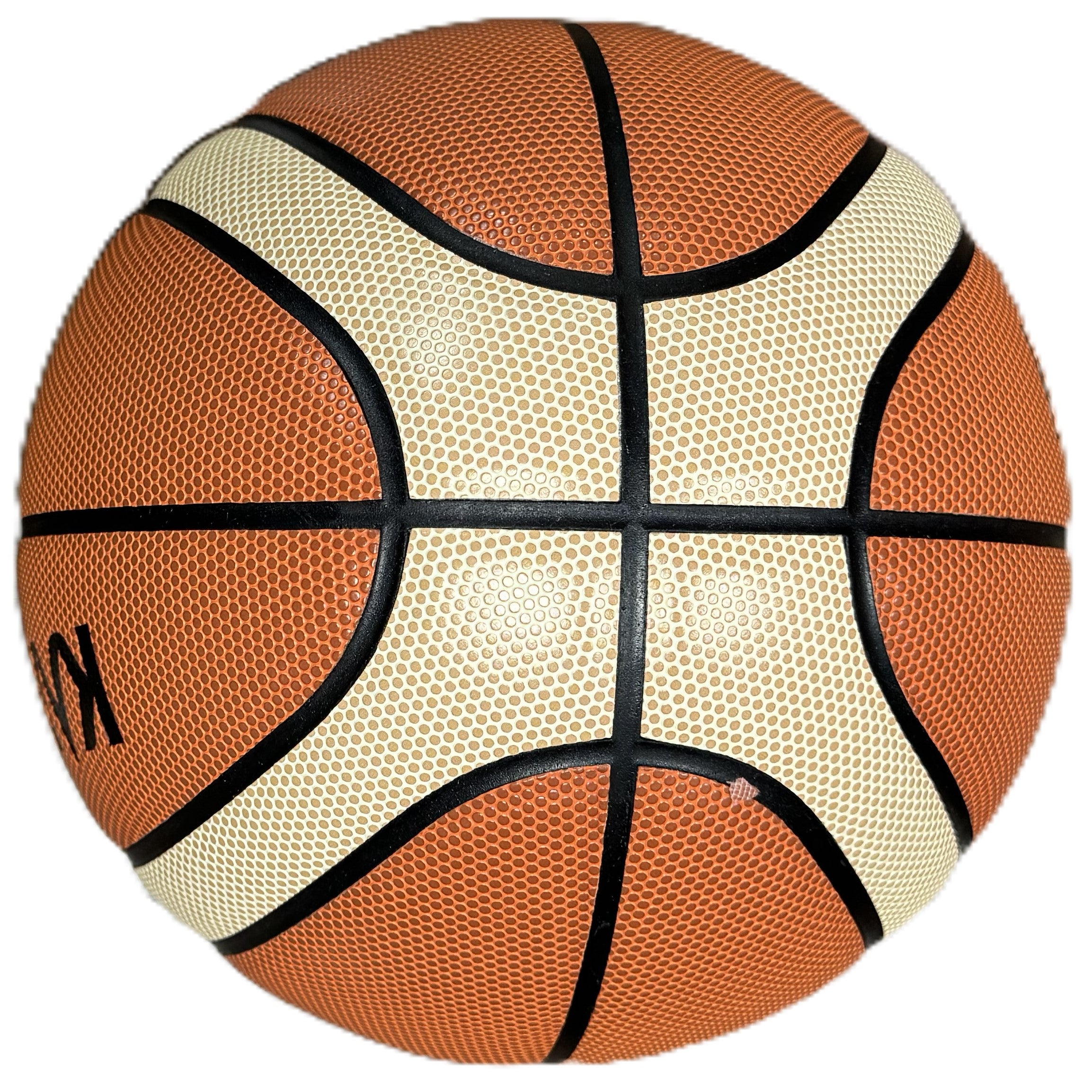 Karakal Net Pro Basketball