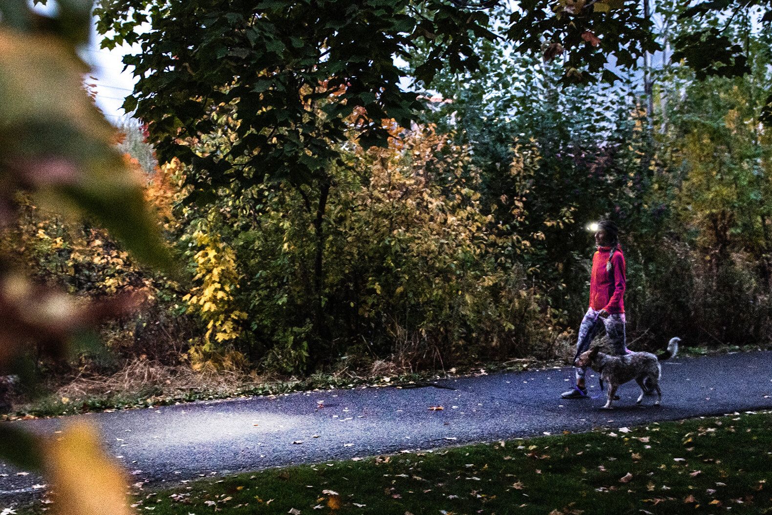 Ledlenser Headlamp HF4R Core