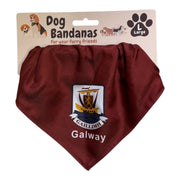 Dog Bandana Galway