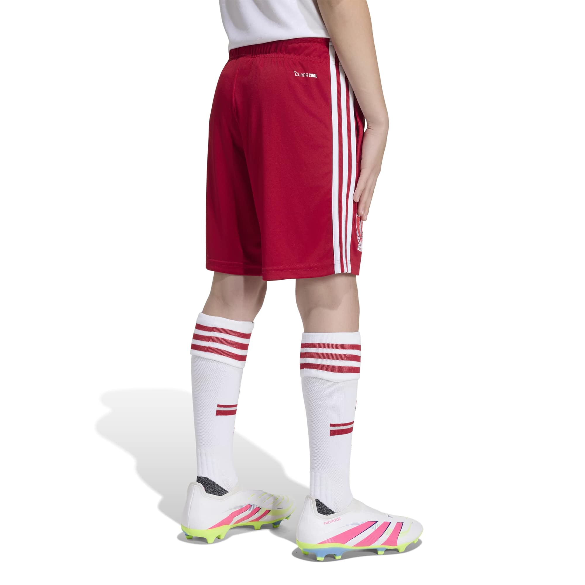 Adidas Liverpool FC 26/27 Away Short Kids