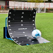 Dog agility training equipment with a ball on a grass field