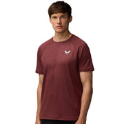 Man wearing a maroon athletic shirt with a logo on a beige background