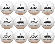 Atak Gaelic Trainer Football Size 5 12 Pack