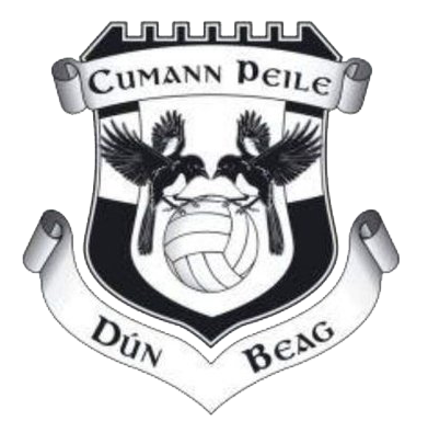O'Neills Doonbeg GAA Dynamo Brushed Half Zip Top Black