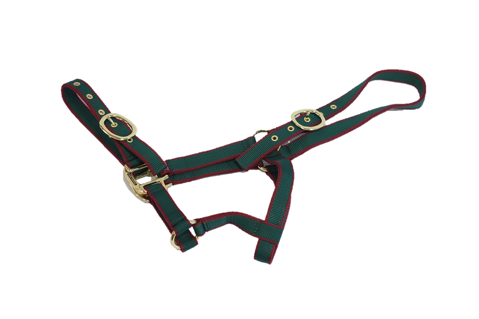 Equisential Nylon Headcollar