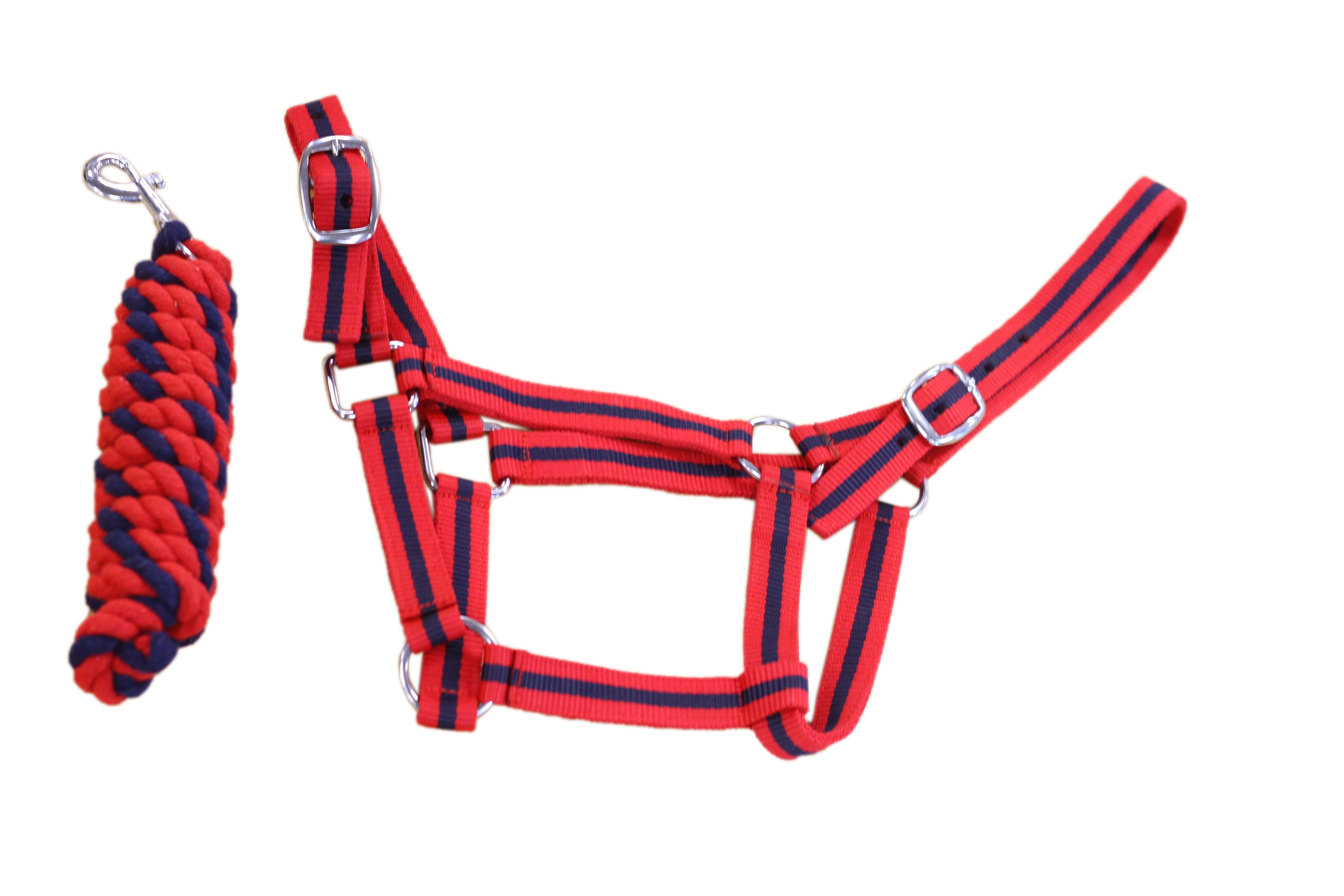 Equisential Economy Headcollar