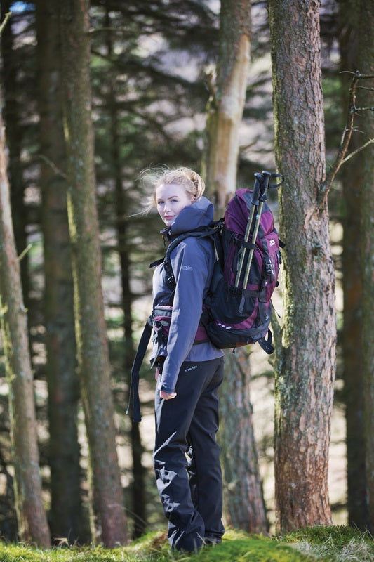 Trespass Transduo Walking Pole