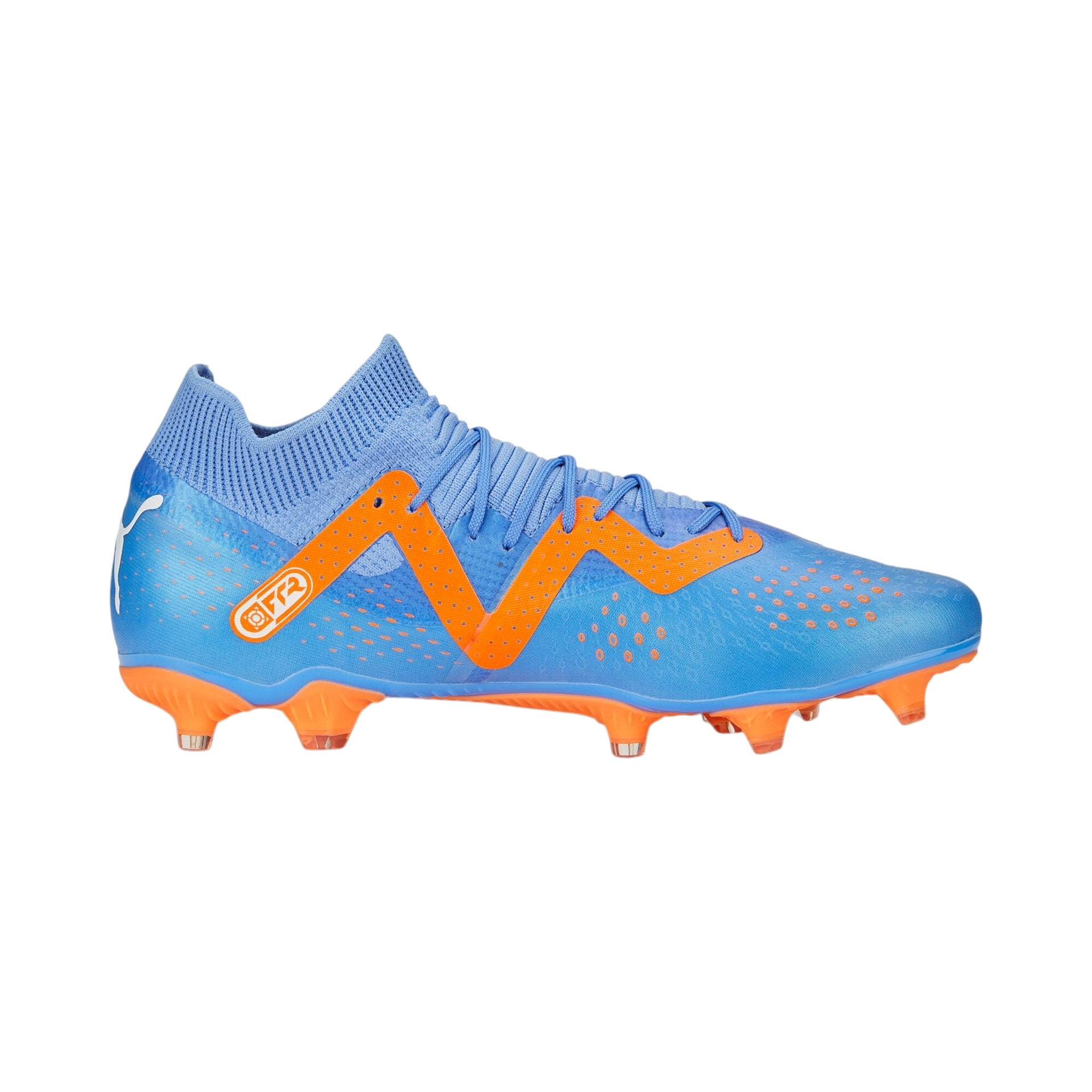 Puma Future Match Firm Ground