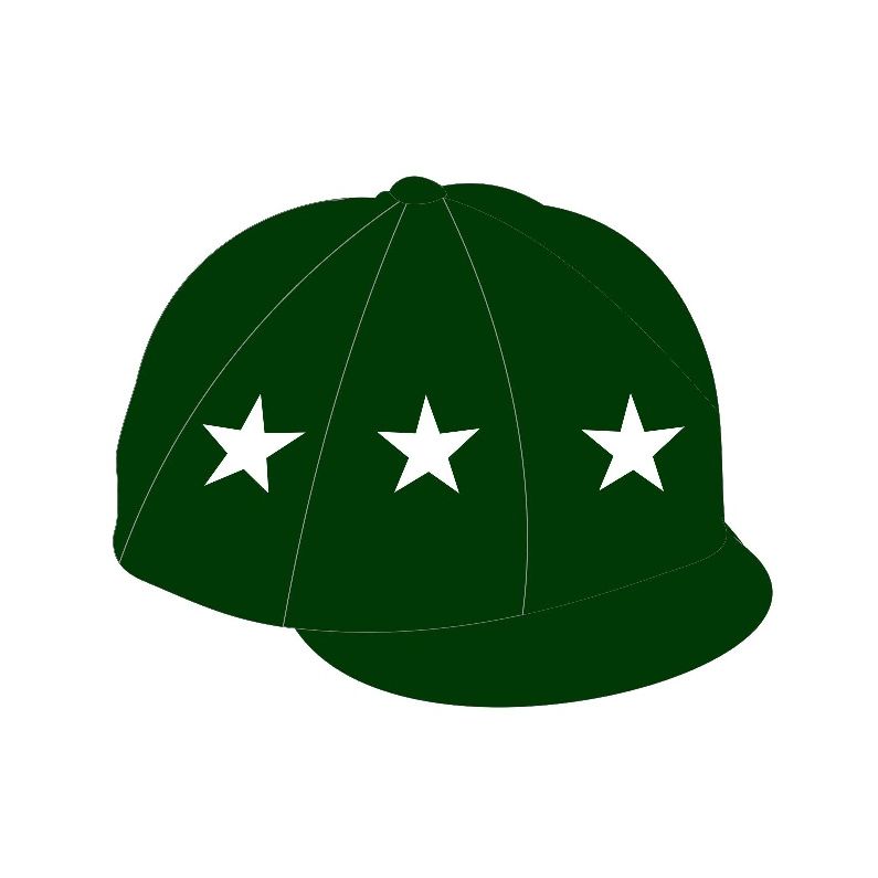 CS Teamwear Limerick Pony Club Silk