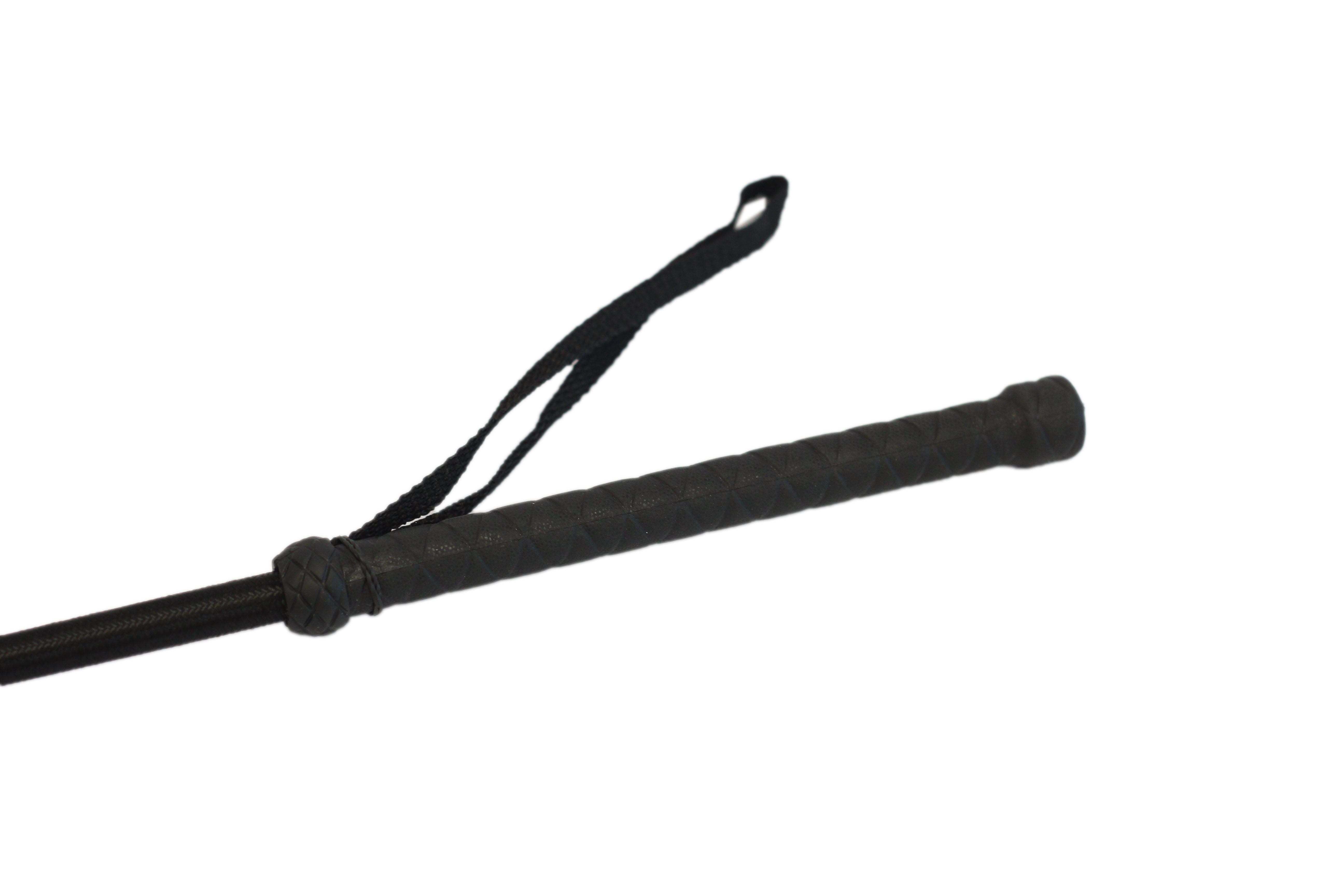 Equisential Equi-Sential Whip