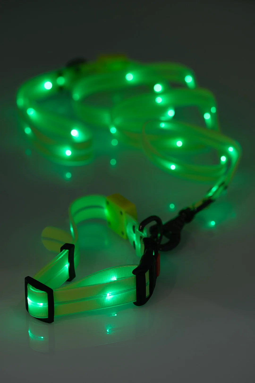 Bodylite Gear Doggylite V2 Collar