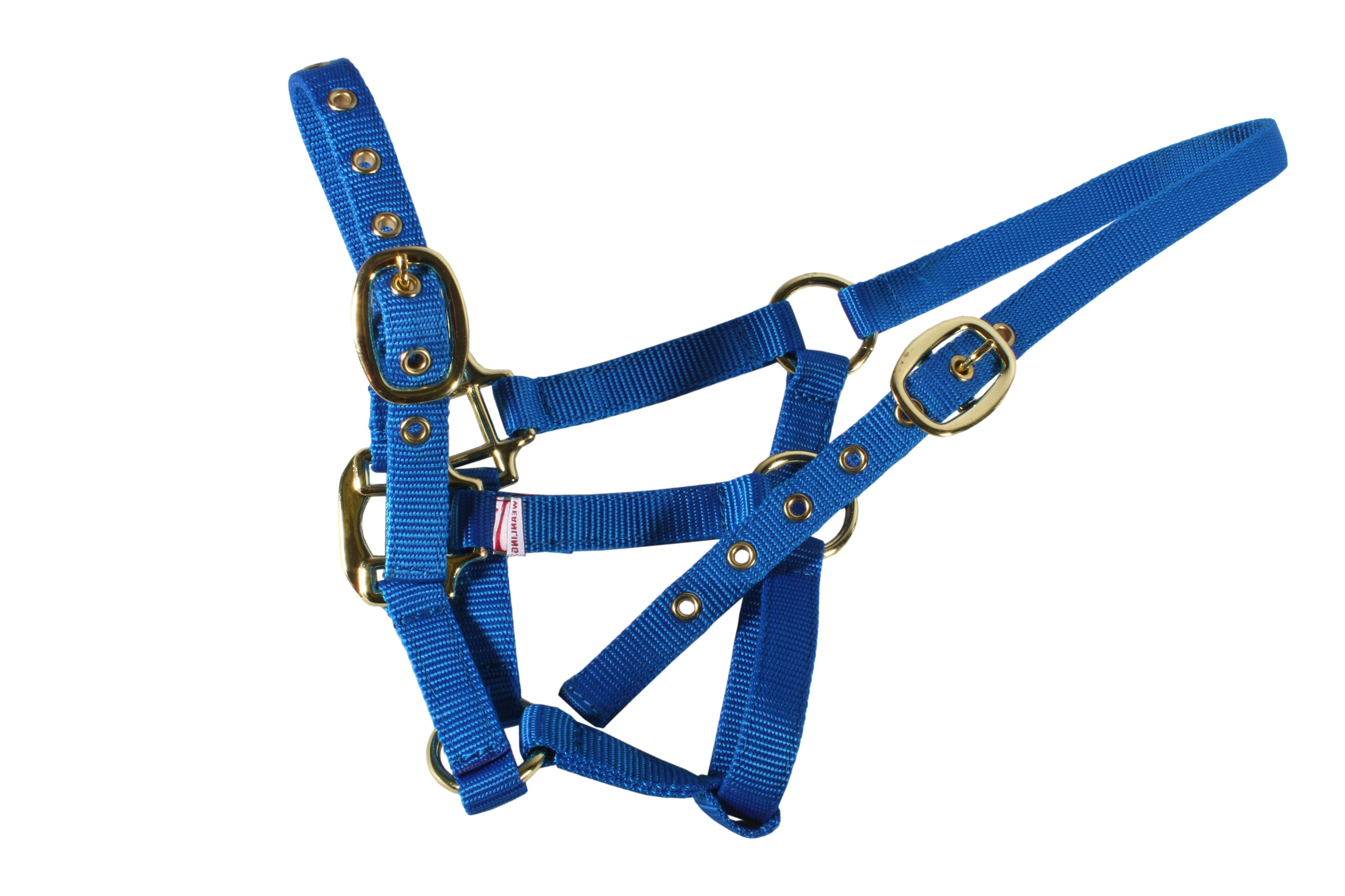 Equisential Nylon Headcollar
