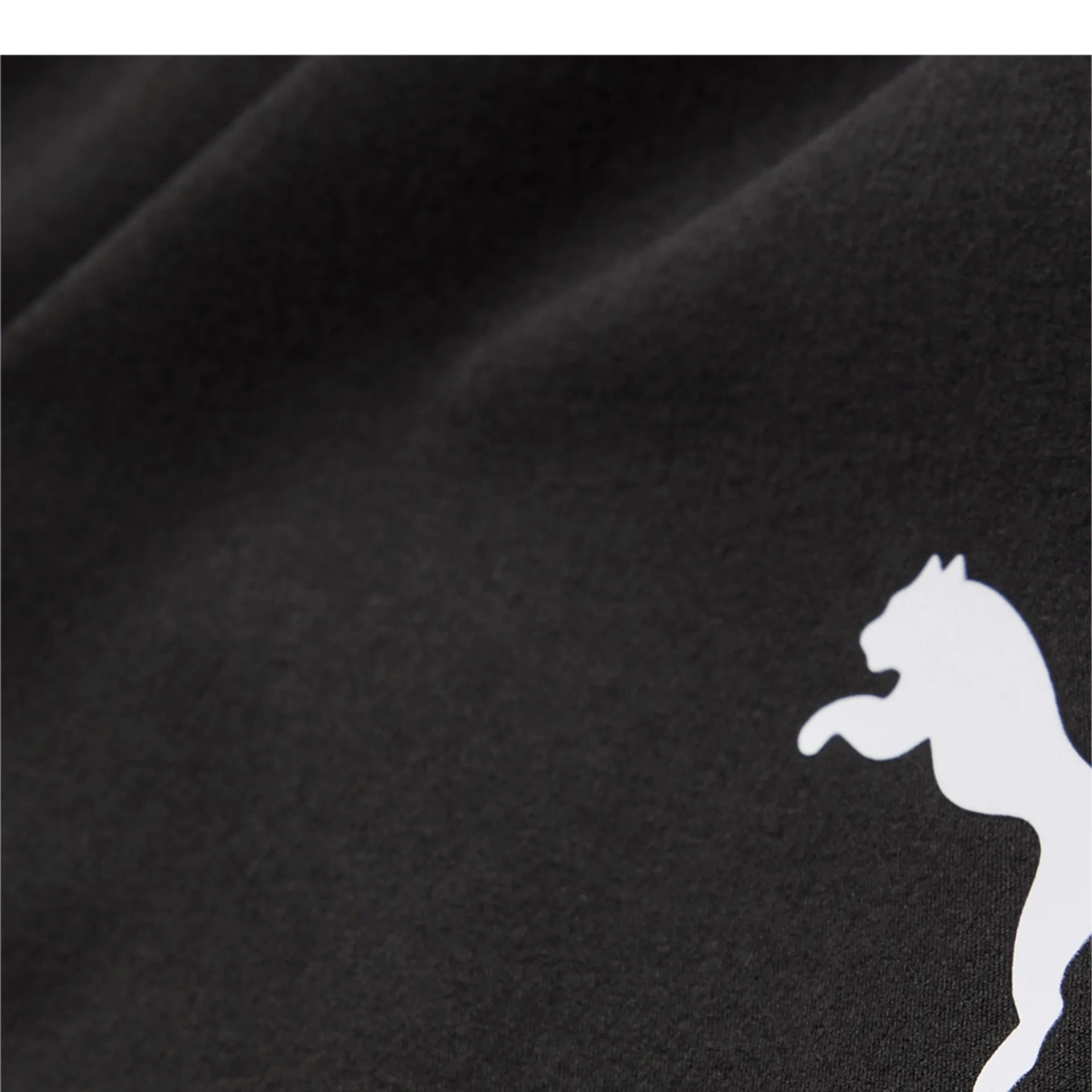 Puma HYROX " WOVEN SHORT