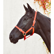 Equisential Nylon Headcollar